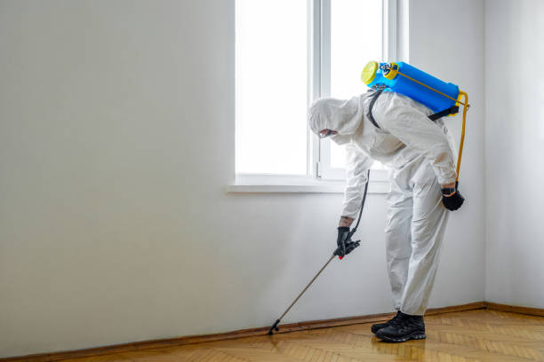 Best Termite Control Services  in Fort Lee, VA