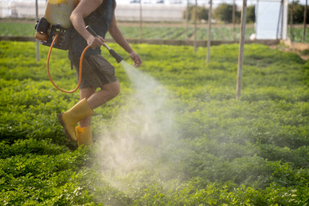 Best Commercial Pest Control Services  in Fort Lee, VA