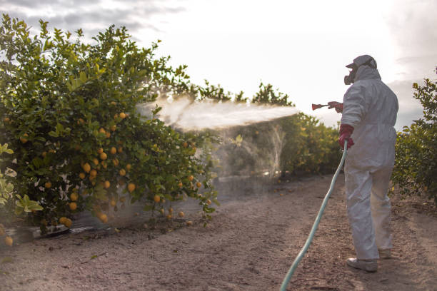 Professional Pest Control in Fort Lee, VA
